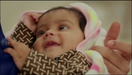 Banni Cow Home Delivery - 27th December 2022